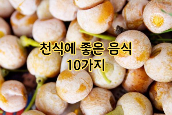 천식에 좋은 음식 10가지