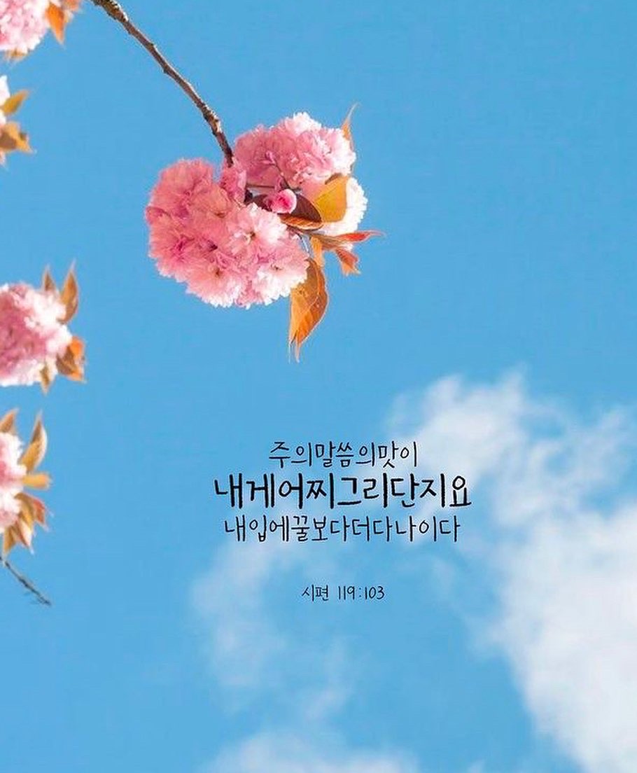 다부 이미지