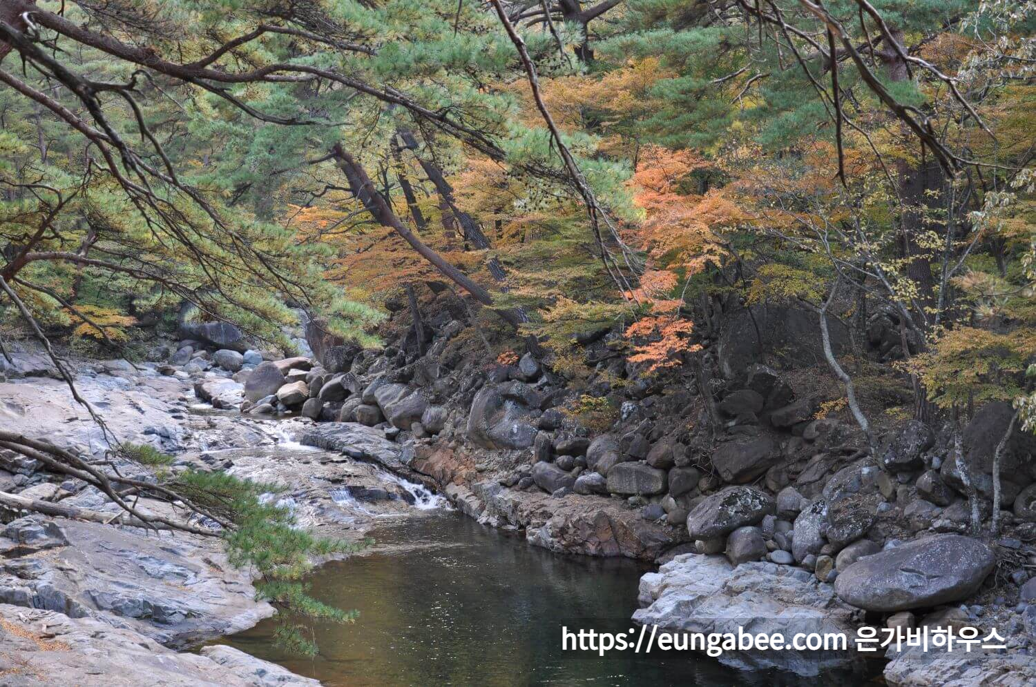 산청 대원사 계곡