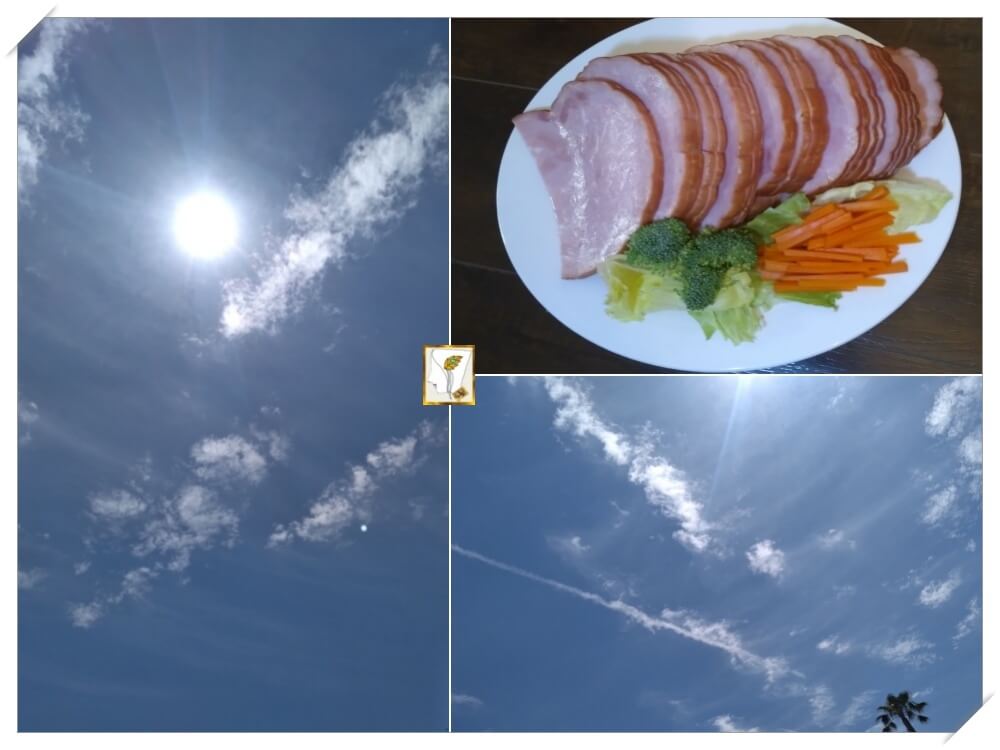 캘리포니아 하늘-햇빛-비말이 쟁반 햄