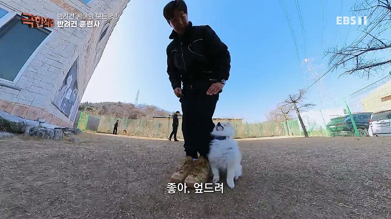 TV - 교육의 중심 EBS반려견 케어의 모든 것!.mp4_20230326_164759.850.jpg