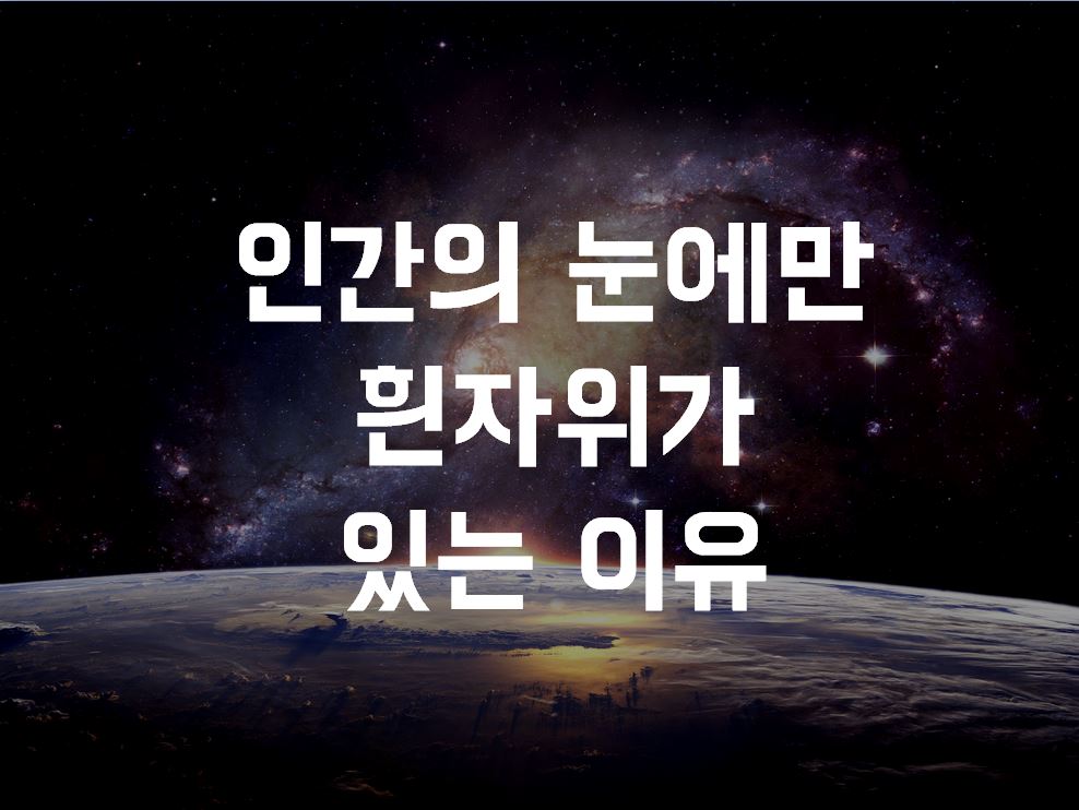  인간의 눈에만 흰자위가 있는 이유