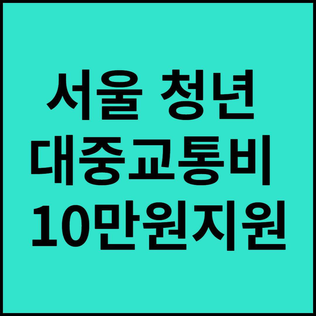  서울청년 대중교통비 10만원 지원 신청하기