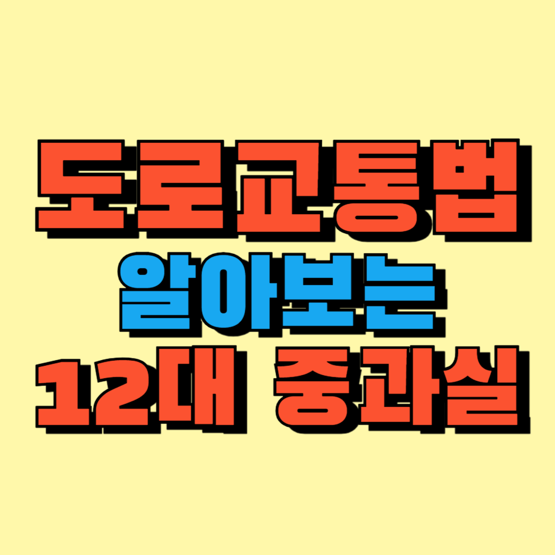 도로교통법 12대 중과실 썸네일