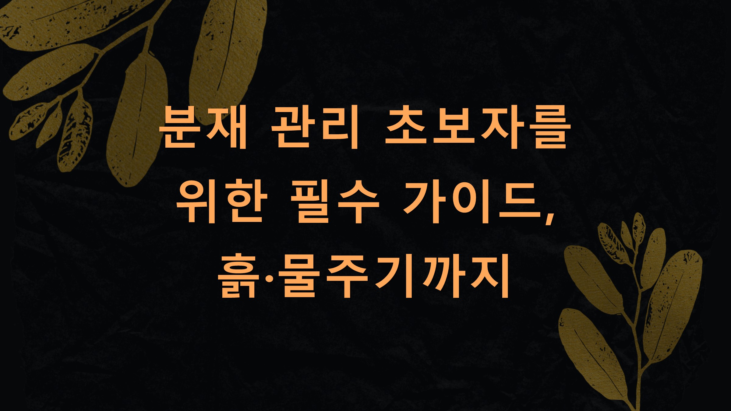 분재 관리 초보자를 위한 필수 가이드, 흙·물주기까지