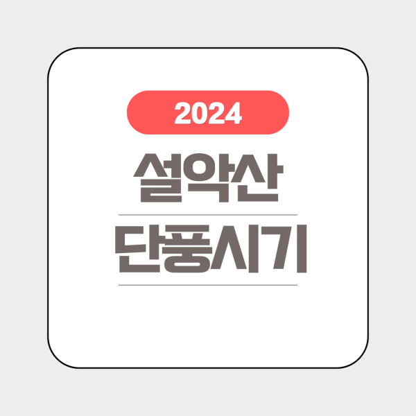 2024 설악산 단풍시기