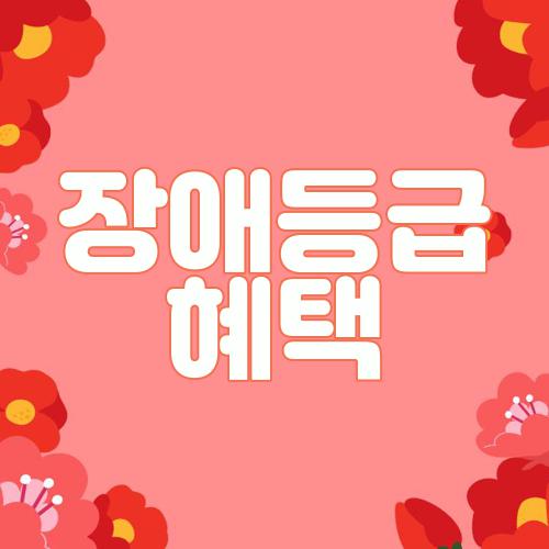 장애등급 혜택