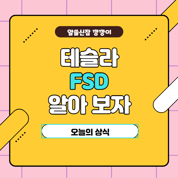  테슬라(TESLA)가 유망한 이유 / FSD 뜻 (완전 자율 주행)