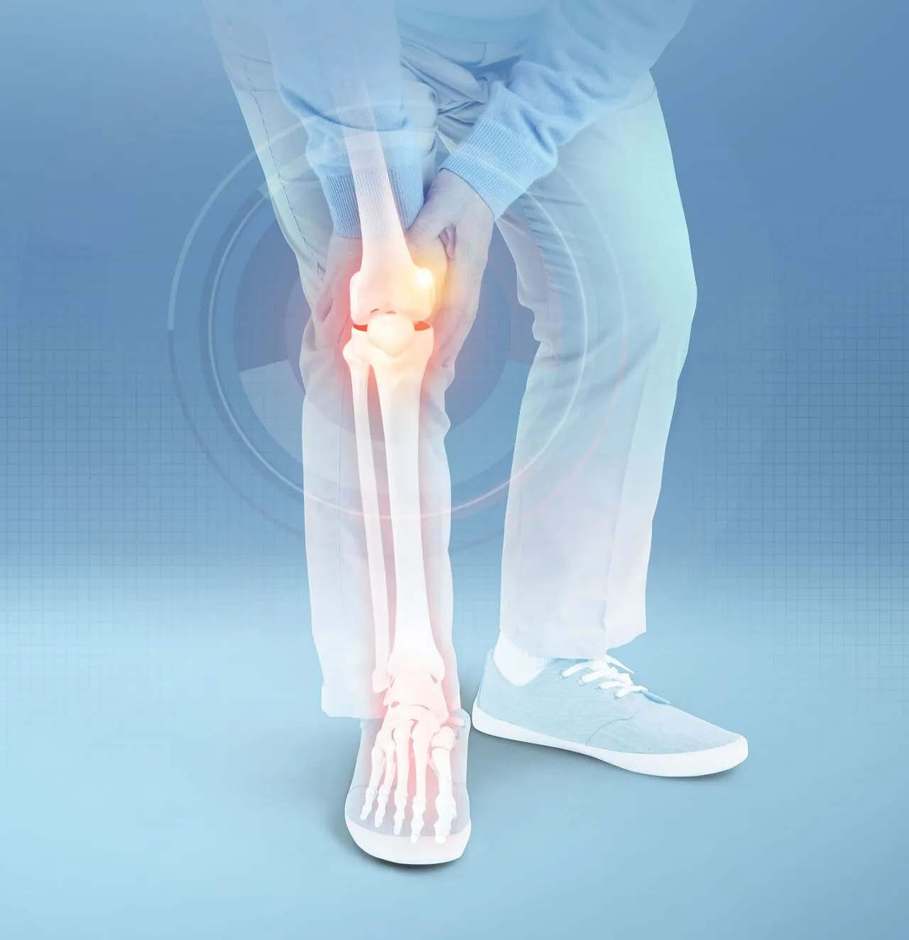 무릎연골예방법