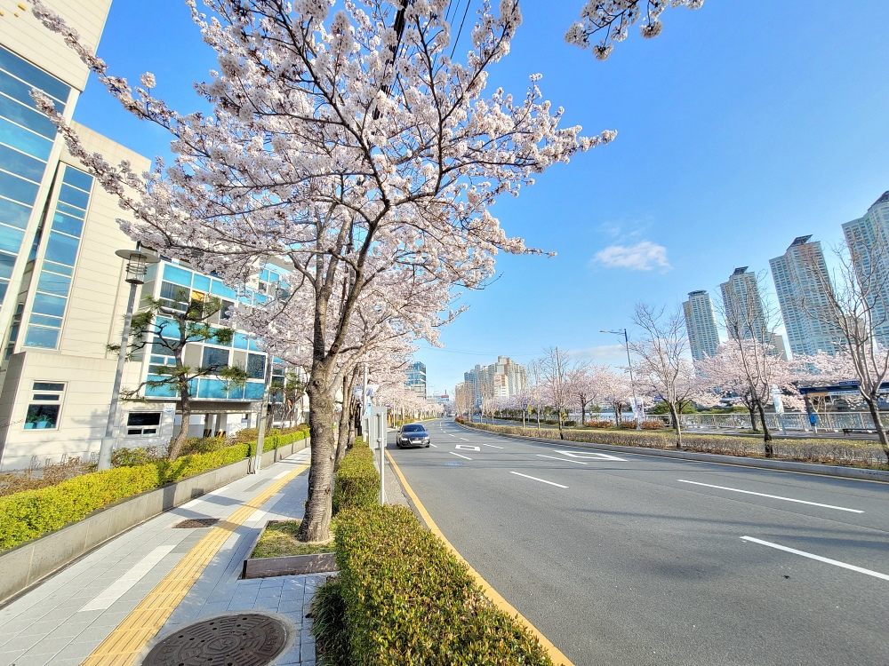  좌수영로 길