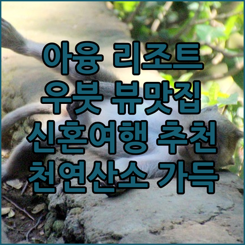 아융 리조트 우붓, 아융강 뷰 객실에