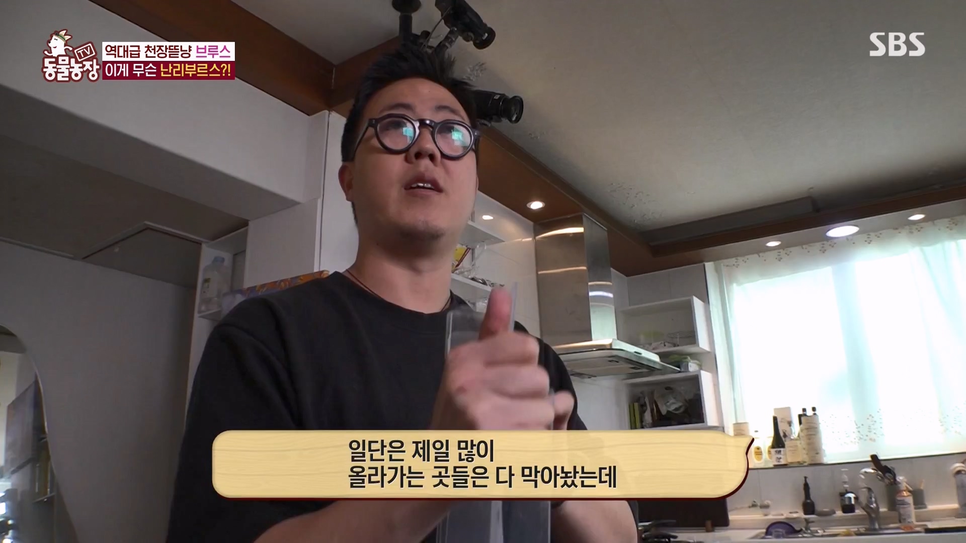 TV 동물농장.E1162.240310p-NEXT.mp4_20240310_162851.544.jpg