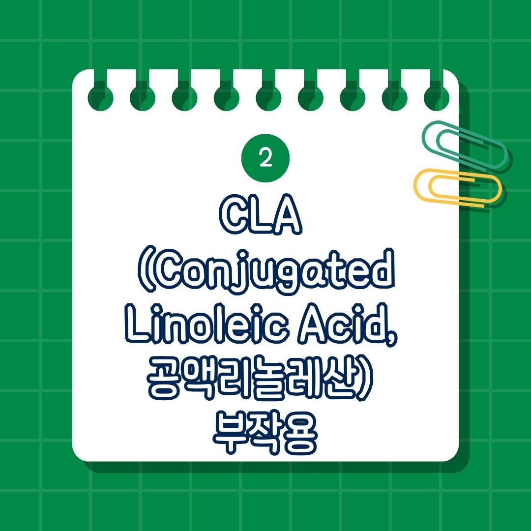 CLA (Conjugated Linoleic Acid, 공액리놀레산) 부작용