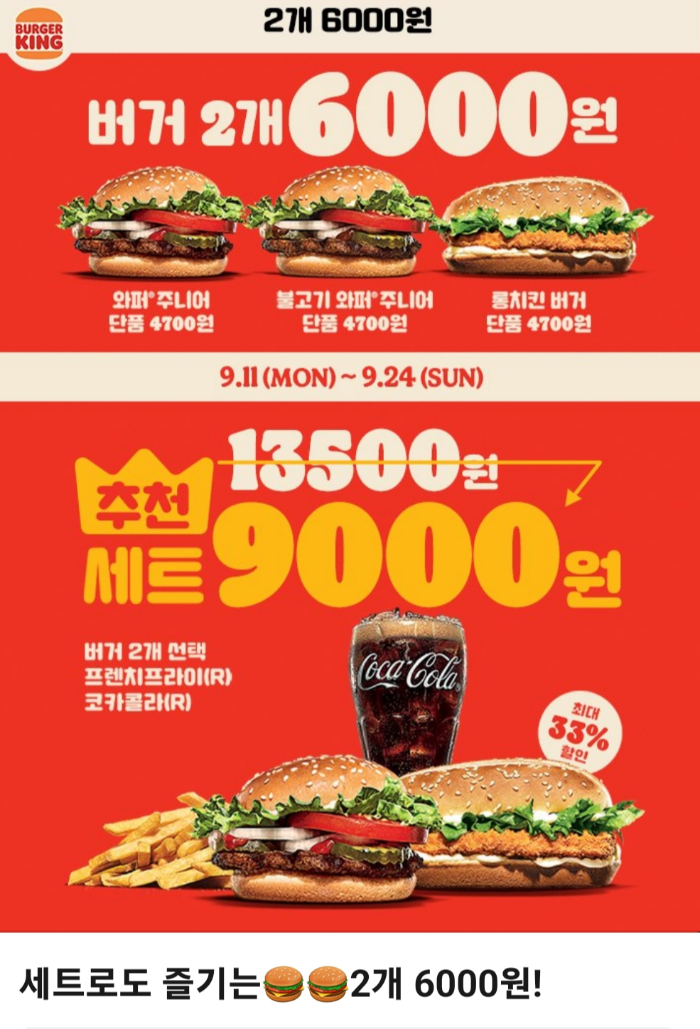 오션FS 이미지