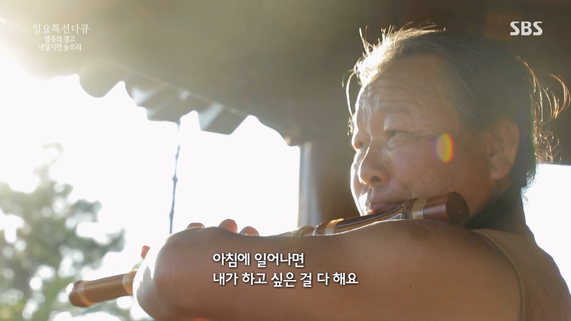 일요 특선 다큐멘터리.E305.230226p.H264-F1RST.mp4_20230301_011009.492.jpg