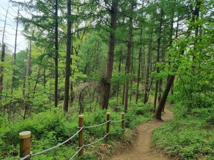 등산로