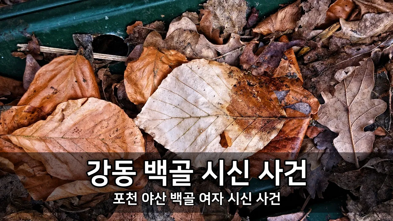 강동 백골 시신 사건 - 포천 야산 백골 여자 시신 사건