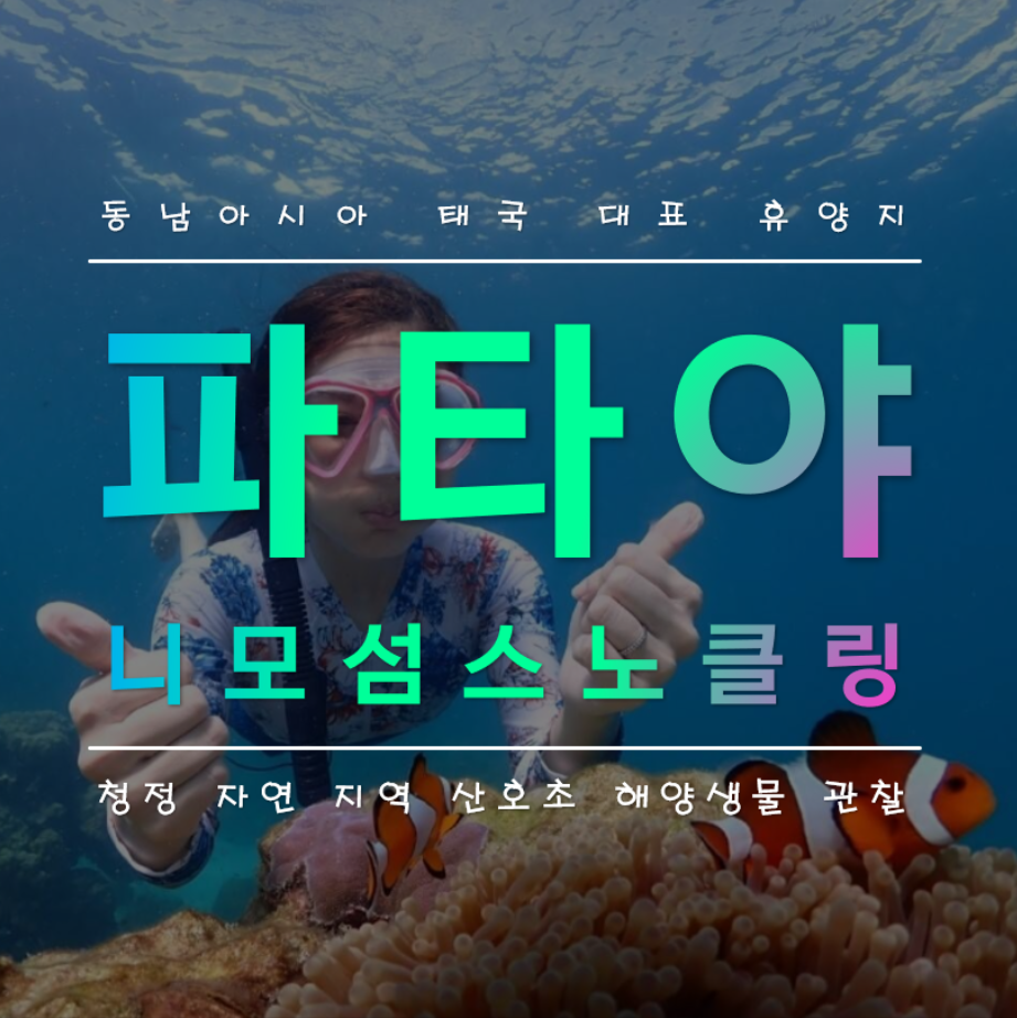 태국 파타야 니모섬 스노클링 투어 소개