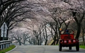 한식에 죽으나 청명에 죽으나 뜻 설명 유래_25