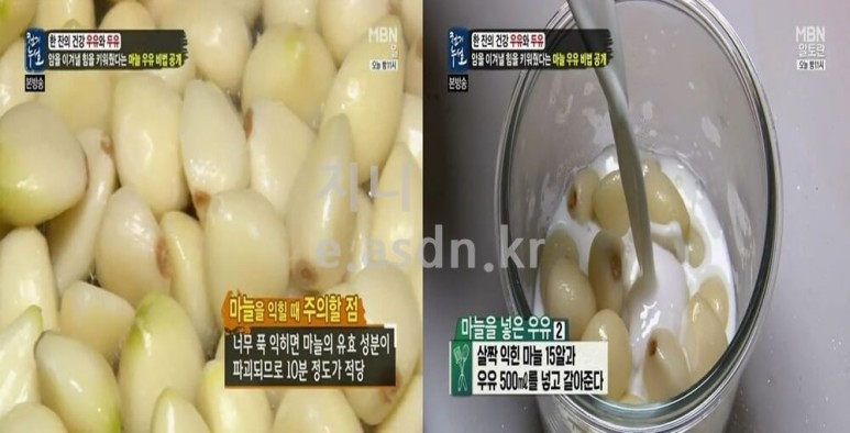 회춘하고 싶다면 마늘우유 만들어 먹어요 Let&#39;s Go