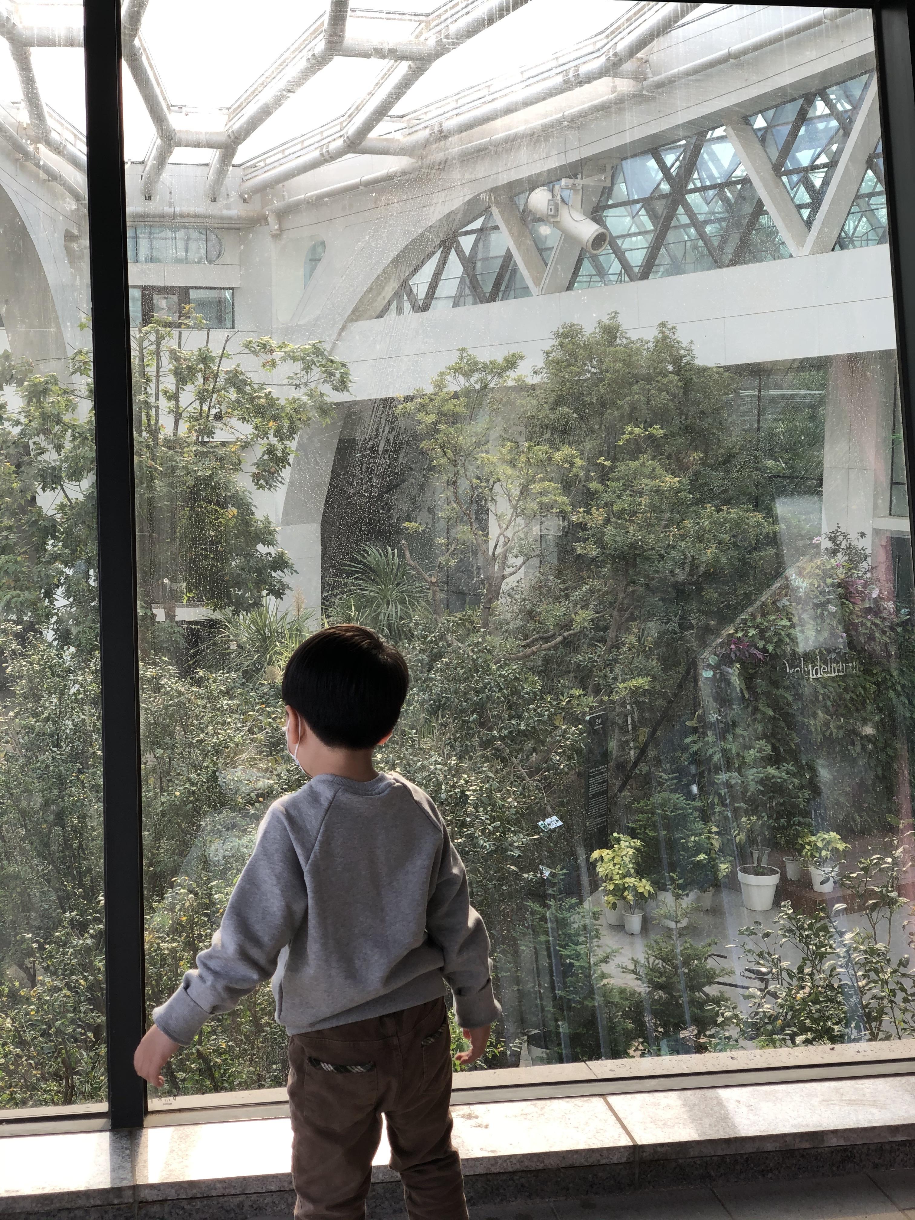 서울식물원 봄의 전경