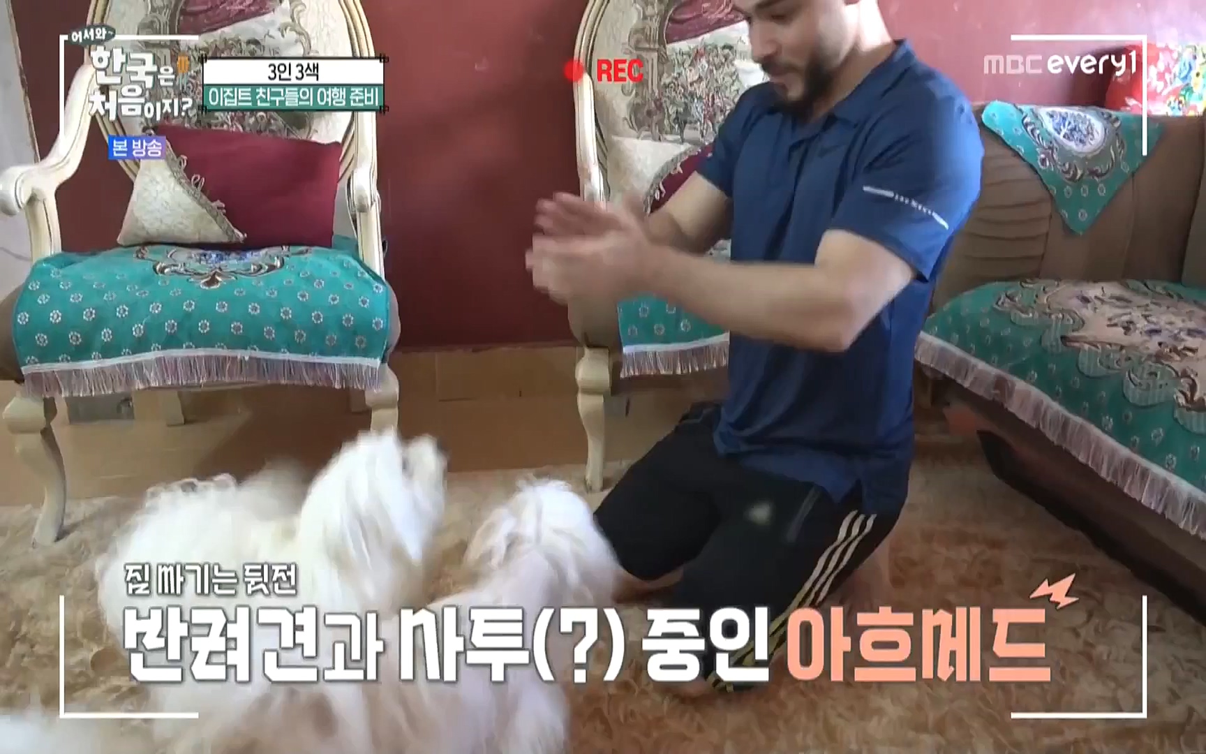 어서와 한국은 처음이지.E223.220811p.WANNA.mp4_20220812_204350.209.jpg