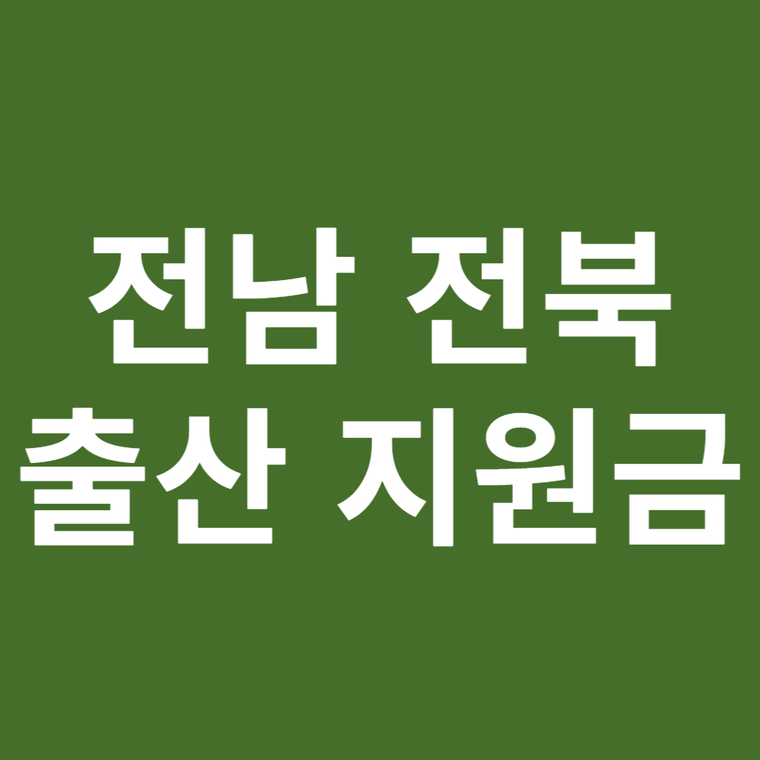 전남 전북 출산 지원금
