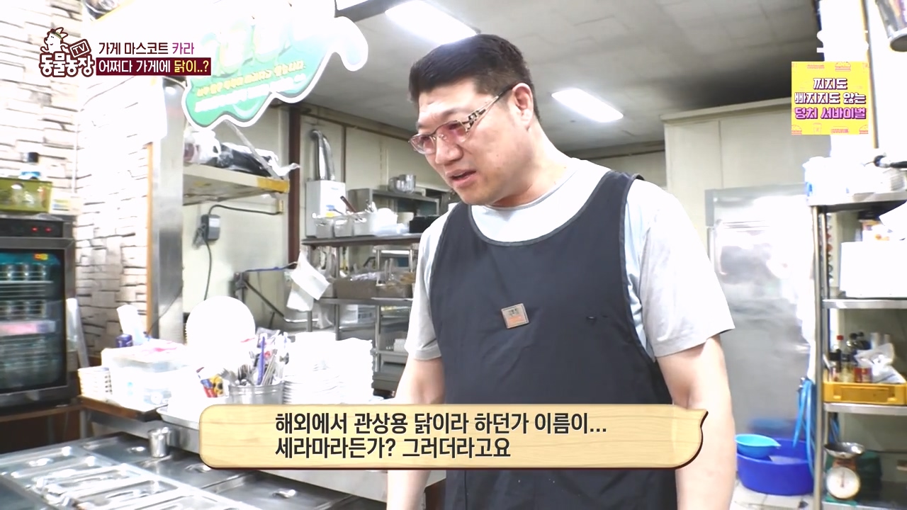 TV 동물농장.E1141.231016p-NEXT.mp4_20231015_172937.777.jpg