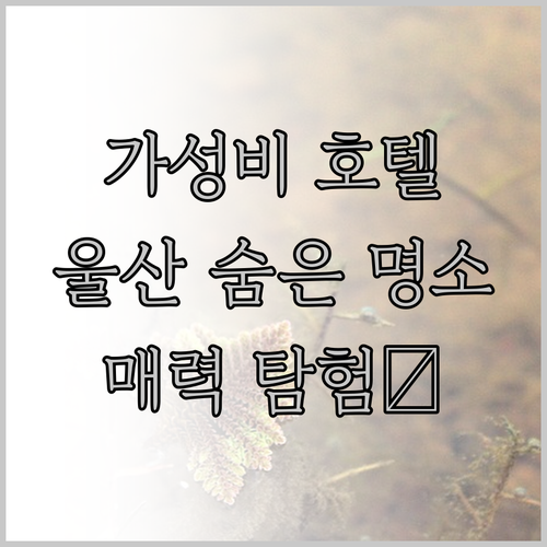 가성비 울산 호텔 추천 제이드, 헤라