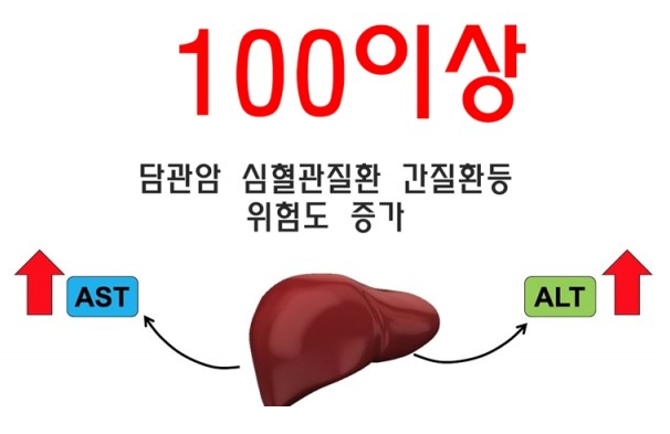 간수치 정상범위