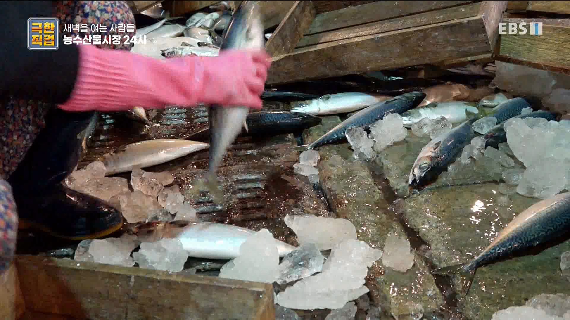 농수산물 시장 24시.mp4_20221020_161647.630.jpg