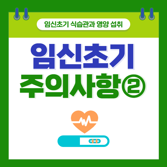  [임신초기 주의사항②] 임신초기 식습관과 영양 섭취