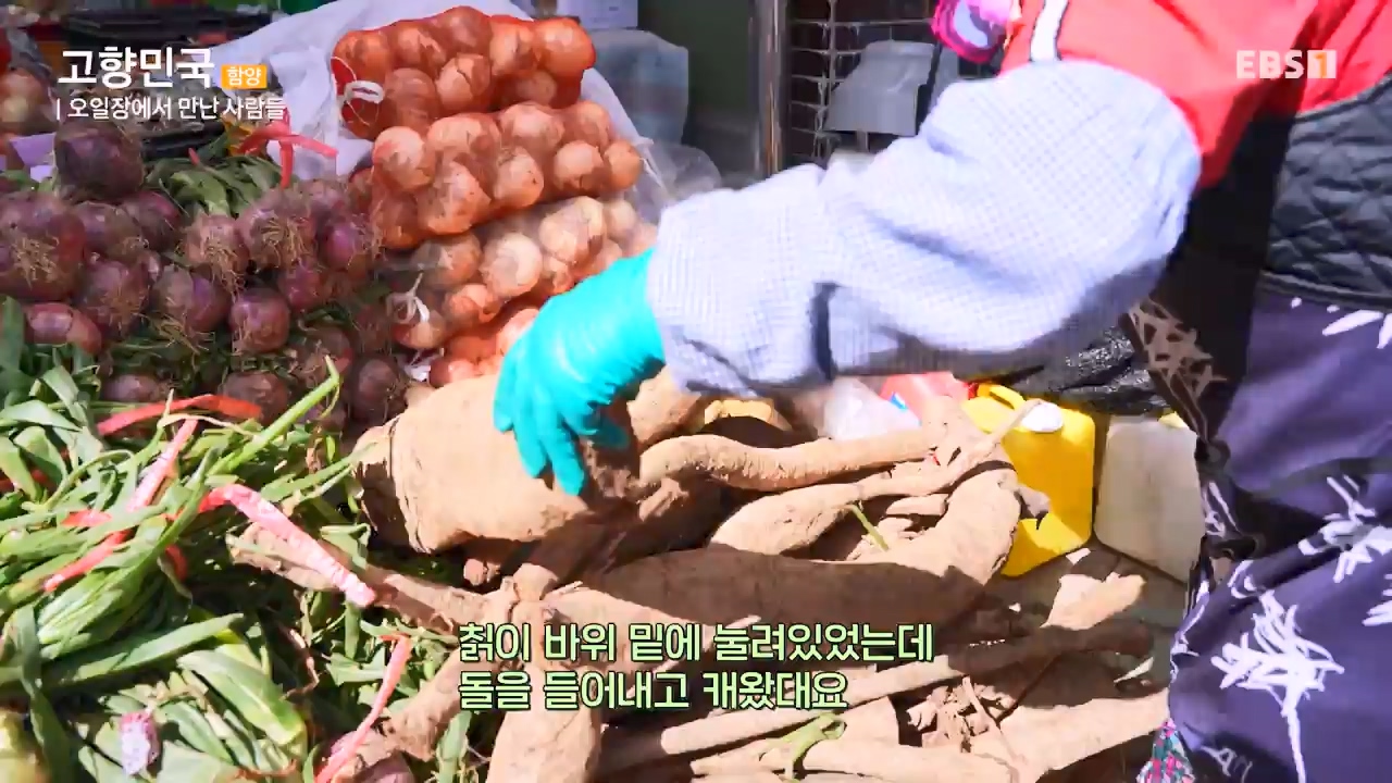 세상의모든기행함양, 봄나물 따라 함양 오일장으로.mp4_20230523_210826.347.jpg