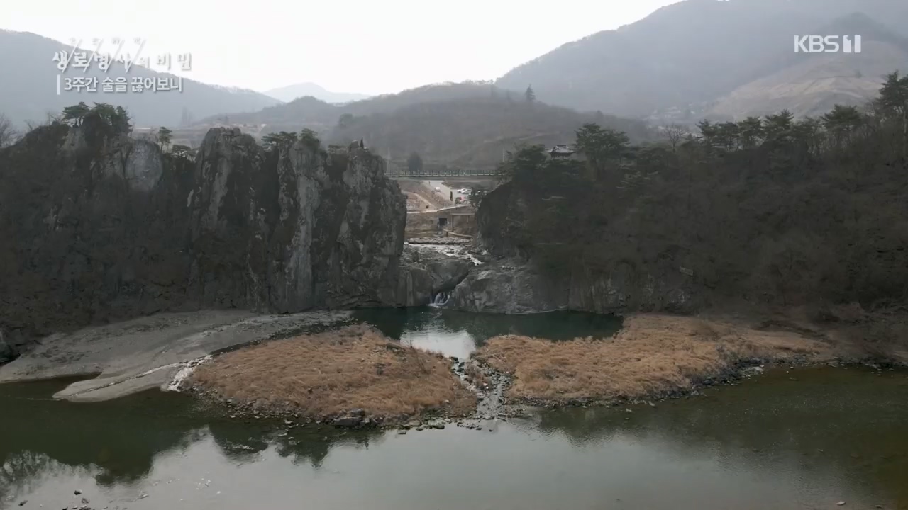 생로병사의 비밀.E865.230420p.H264-F1RST.mp4_20230420_202155.588.jpg