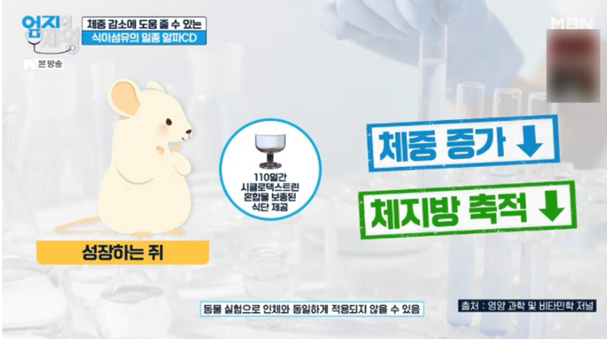 알파CD효능