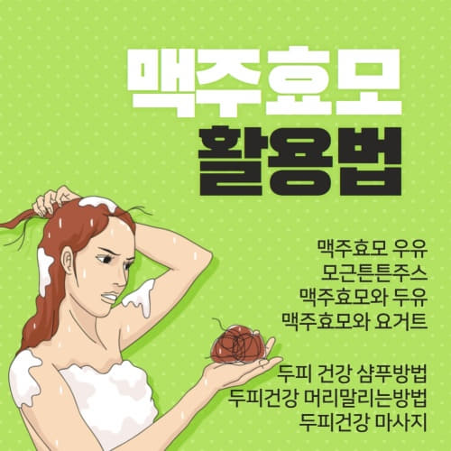  탈모에 좋은 맥주효모 두피 모발 건강 맥주효모 활용법(맥주효모 우유 모근탄탄주스 두피건강을 지키는 올바른 샴푸 방법)