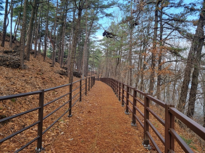 산책로