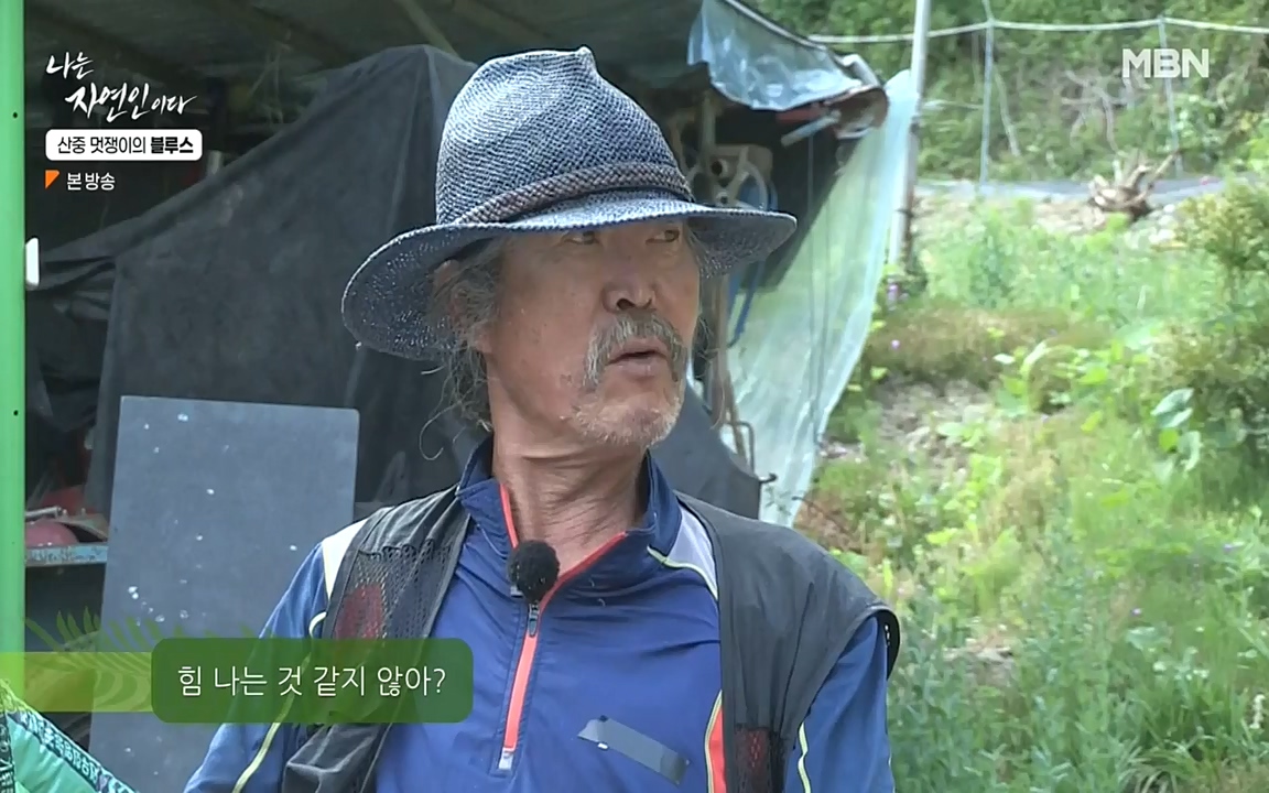 나는 자연인이다.E505.220609p-NEXT.mp4_20220609_200201.618.jpg