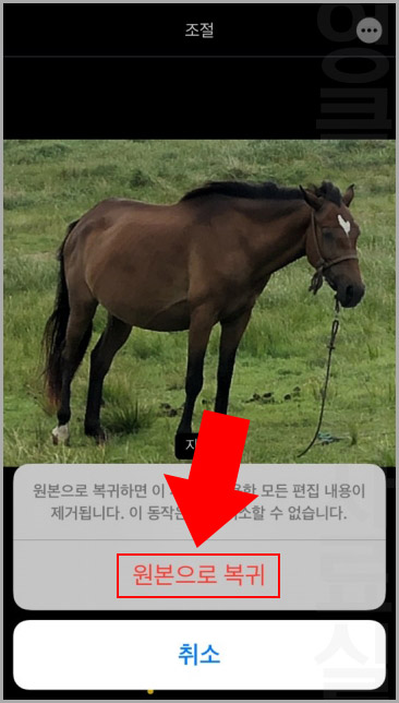 아이폰 사진 원본으로 복귀