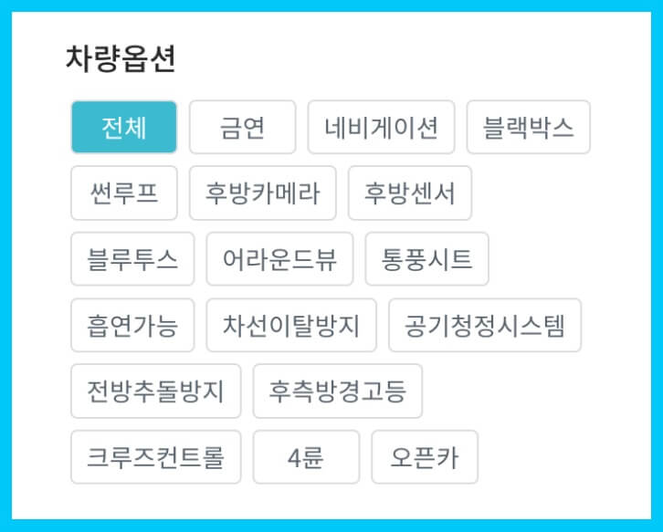 제주 더 렌트카 차량옵션