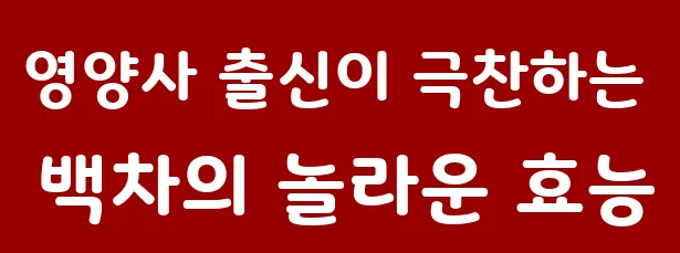 영양사 출신이 극찬하는 백차의 놀라운 효능