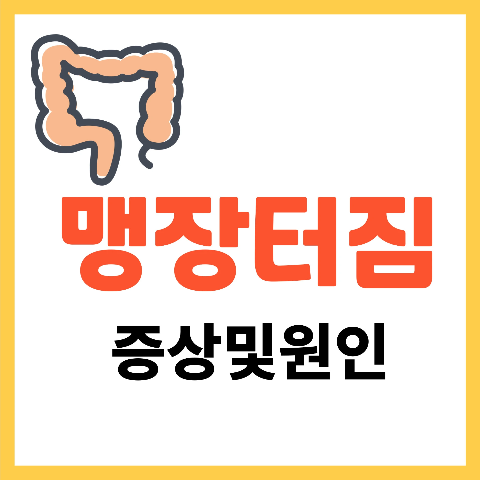 맹장 터짐 증상