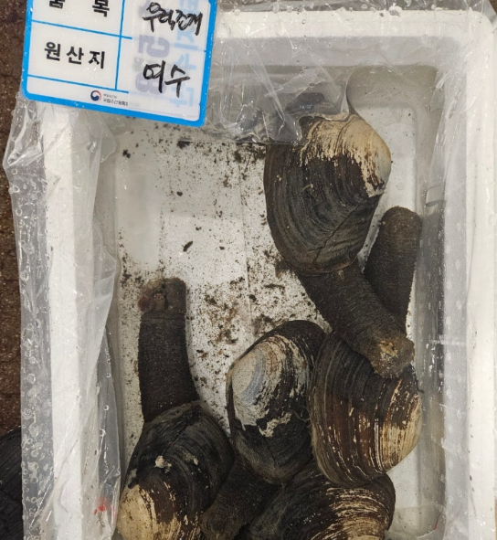 우럭조개