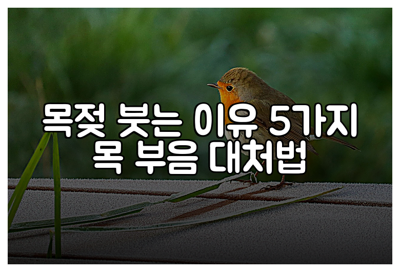 목젖 붓는 이유 5가지 목 부음 대처법