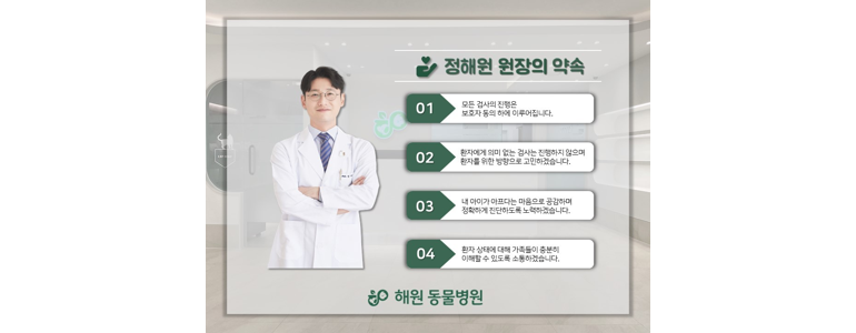 인천 부평구 동물병원
