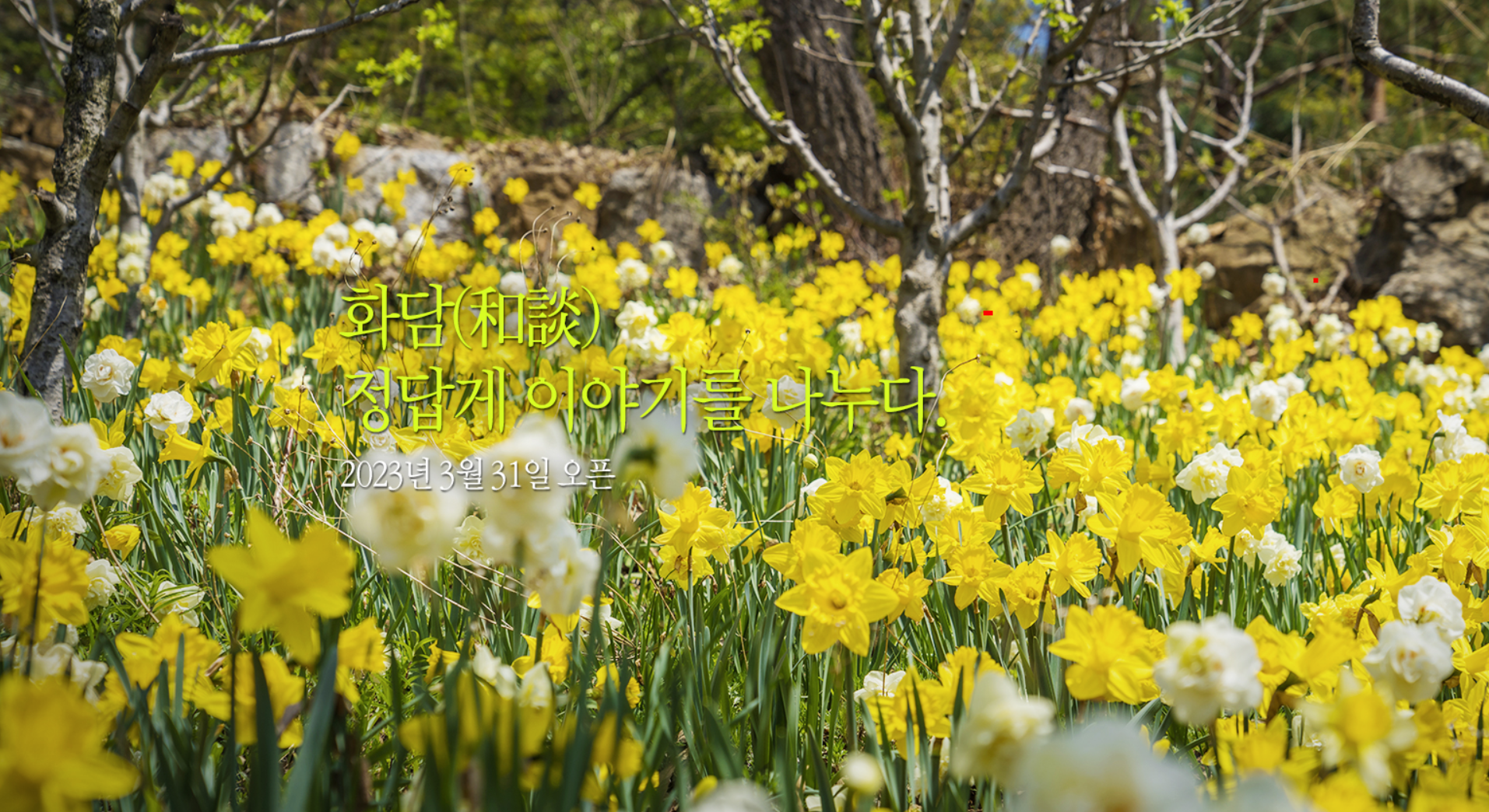  화담숲 3월 31일 재개장 - 수선화와 산수유 보러 예약하기