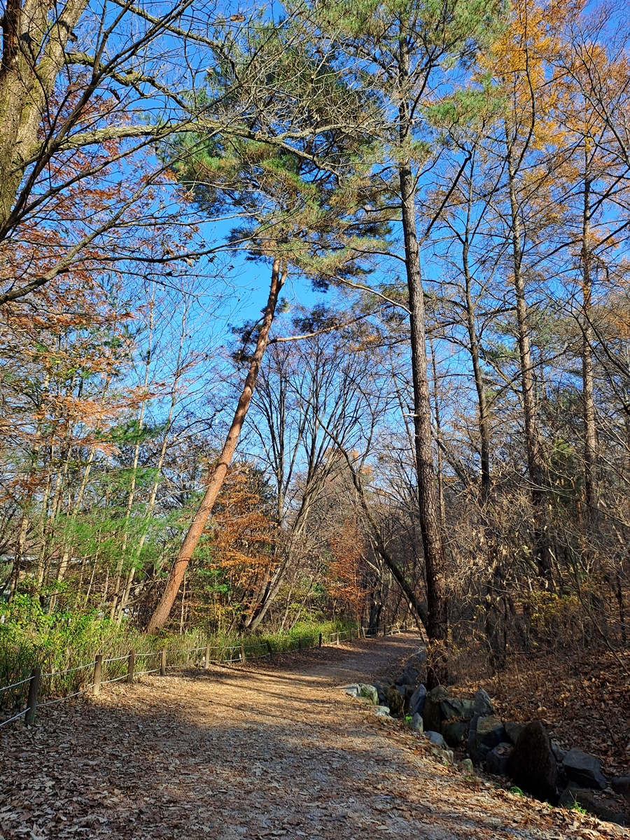 제명호로-올라가는-산책길_03