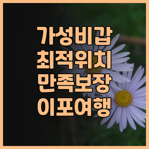 시티텔 익스프레스 이포, 이포 여행의