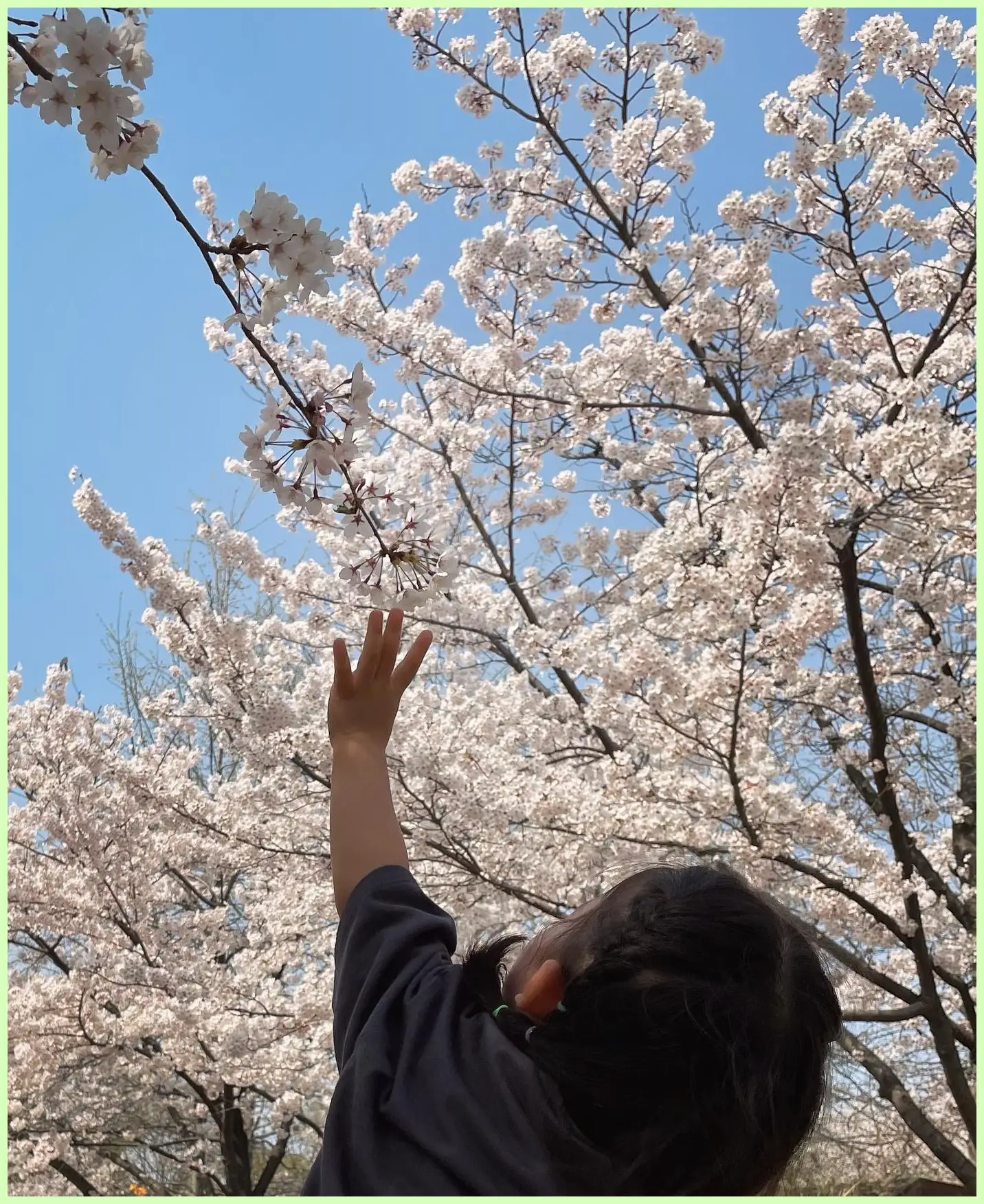 최지우 나이 프로필: 남편 이서호 결혼 딸 가족 키 고향 학력 재산