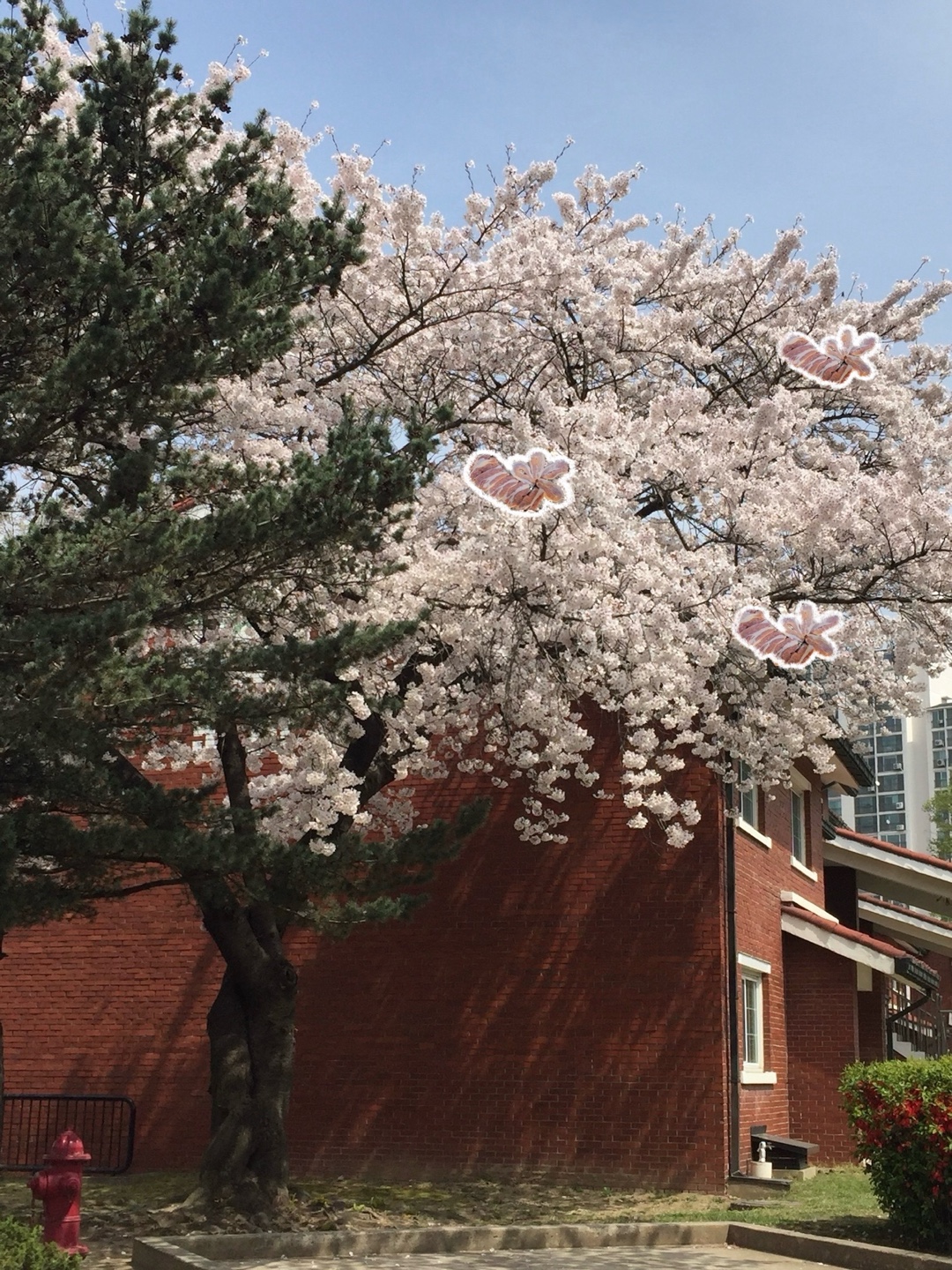 의정축산 이미지